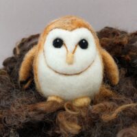 IMG_20200409_070342_509