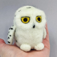 Snowy_Owlet.webp