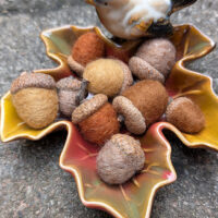 Acorns 1000x1000 Acorns 1000x1000