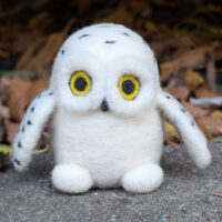 Snowy Owlet Three 1000x1000 Snowy Owlet Three 1000x1000